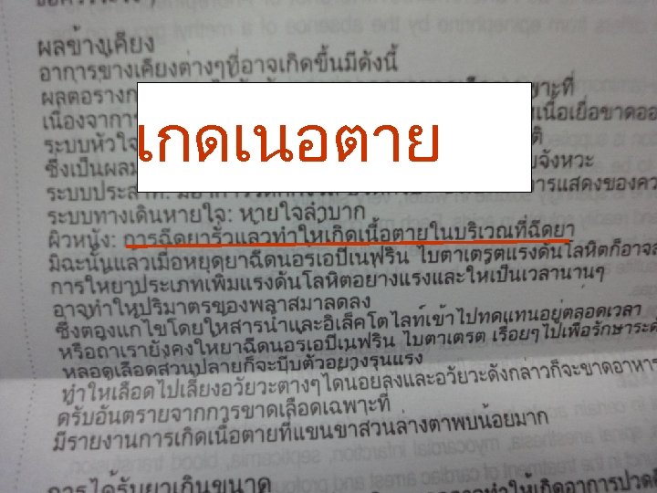 เกดเนอตาย 