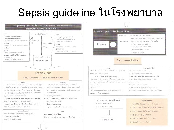 Sepsis guideline ในโรงพยาบาล 