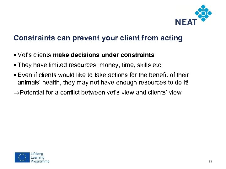 Constraints can prevent your client from acting § Vet’s clients make decisions under constraints