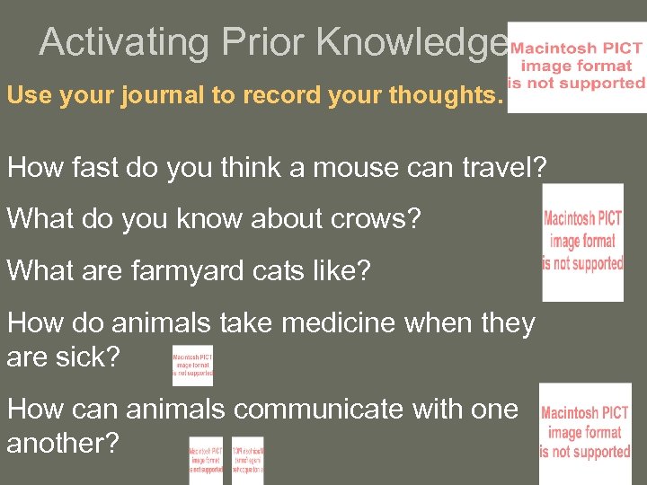 Activating Prior Knowledge Use your journal to record your thoughts. How fast do you
