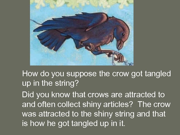How do you suppose the crow got tangled up in the string? Did you