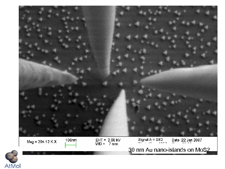 30 nm Au nano-islands on Mo. S 2 