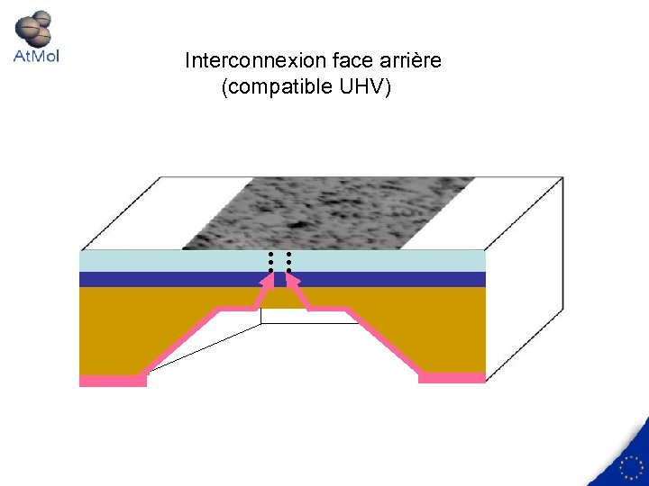 Interconnexion face arrière (compatible UHV) 