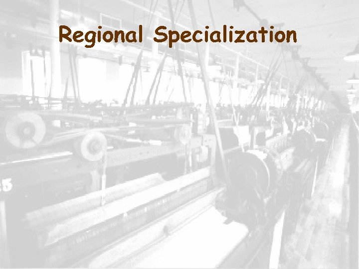 Regional Specialization 