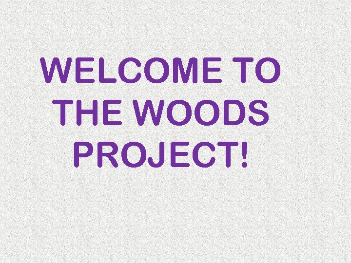 WELCOME TO THE WOODS PROJECT! 
