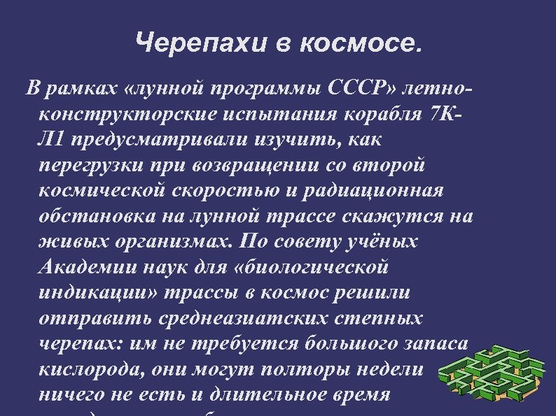 Черепахи в космосе. В рамках «лунной программы СССР» летноконструкторские испытания корабля 7 КЛ 1