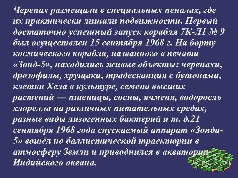 Черепах размещали в специальных пеналах, где их практически лишали подвижности. Первый достаточно успешный запуск