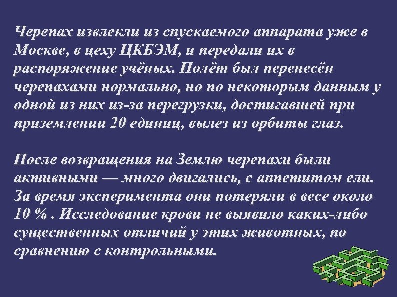 Черепах извлекли из спускаемого аппарата уже в Москве, в цеху ЦКБЭМ, и передали их