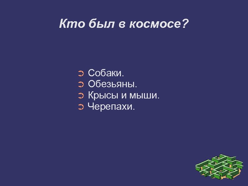 Кто был в космосе? ➲ ➲ Собаки. Обезьяны. Крысы и мыши. Черепахи. 