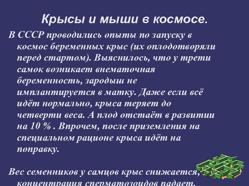 Крысы и мыши в космосе. В СССР проводились опыты по запуску в космос беременных