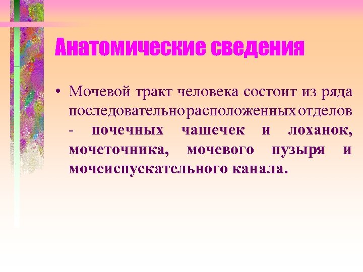 Анатомические сведения • Мочевой тракт человека состоит из ряда последовательно расположенных отделов - почечных