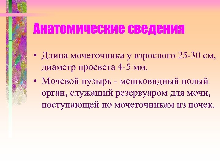 Сведения о протяженности. Диаметр просвета.