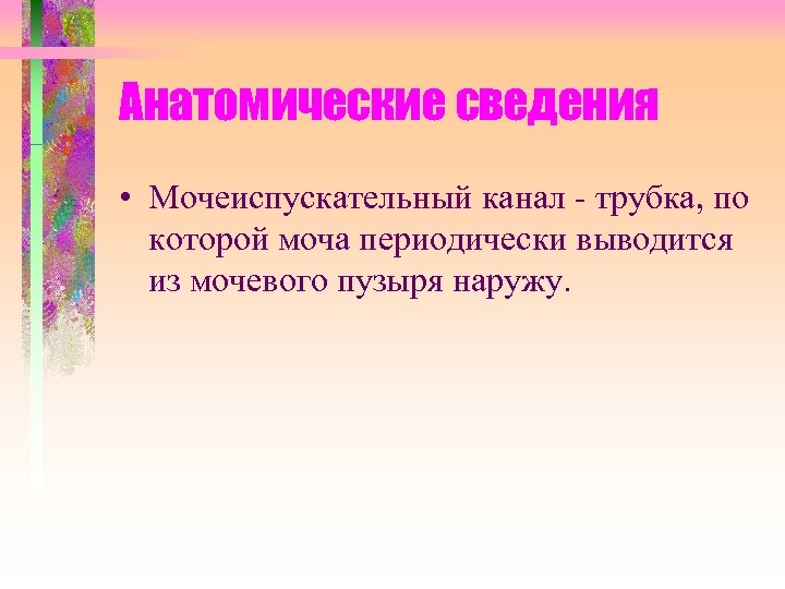 Анатомические сведения • Мочеиспускательный канал - трубка, по которой моча периодически выводится из мочевого