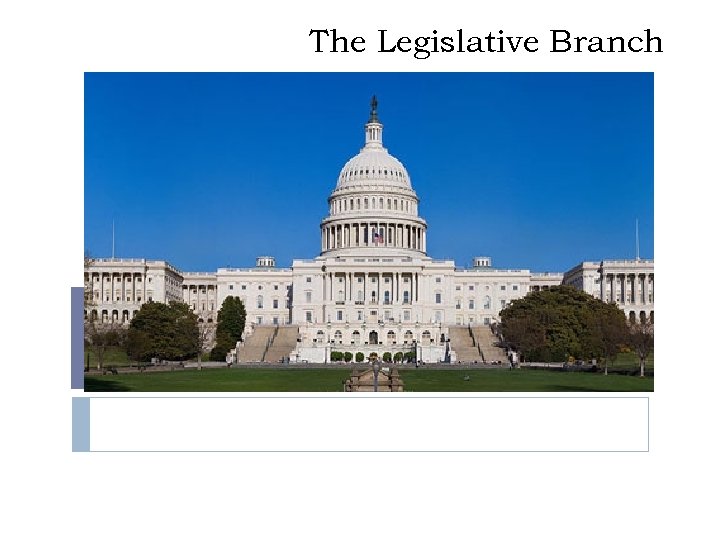 The Legislative Branch 