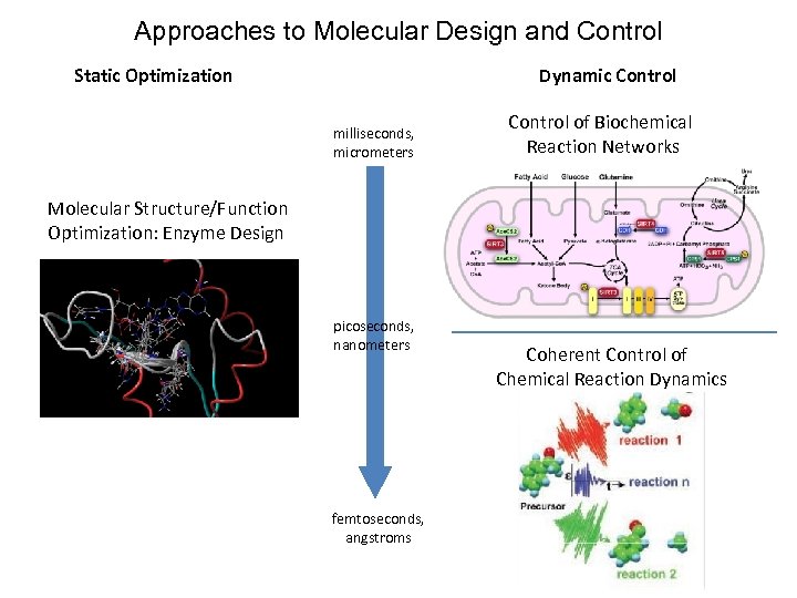 Approaches to Molecular Design and Control Static Optimization Dynamic Control milliseconds, micrometers Control of