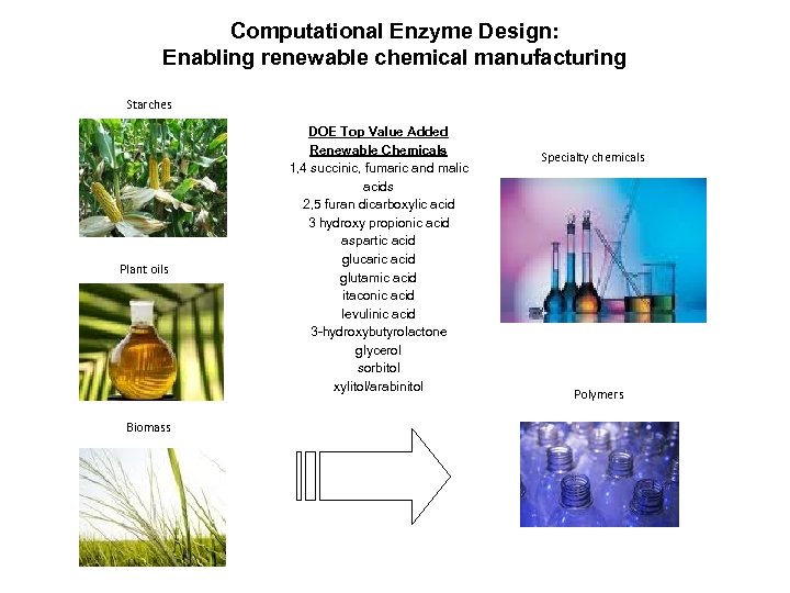 Computational Enzyme Design: Enabling renewable chemical manufacturing Starches Plant oils Biomass DOE Top Value