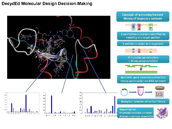 Decyd. Ed Molecular Design Decision-Making Example of screening focused library of sequence variants 3