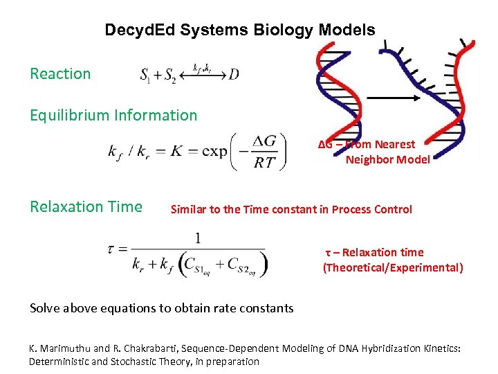 Decyd. Ed Systems Biology Models Reaction Equilibrium Information ΔG – From Nearest Neighbor Model