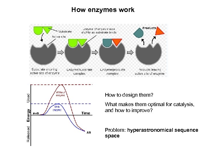 How enzymes work How to design them? What makes them optimal for catalysis, and