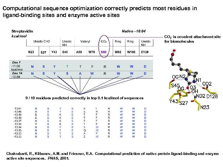 Computational sequence optimization correctly predicts most residues in ligand-binding sites and enzyme active sites