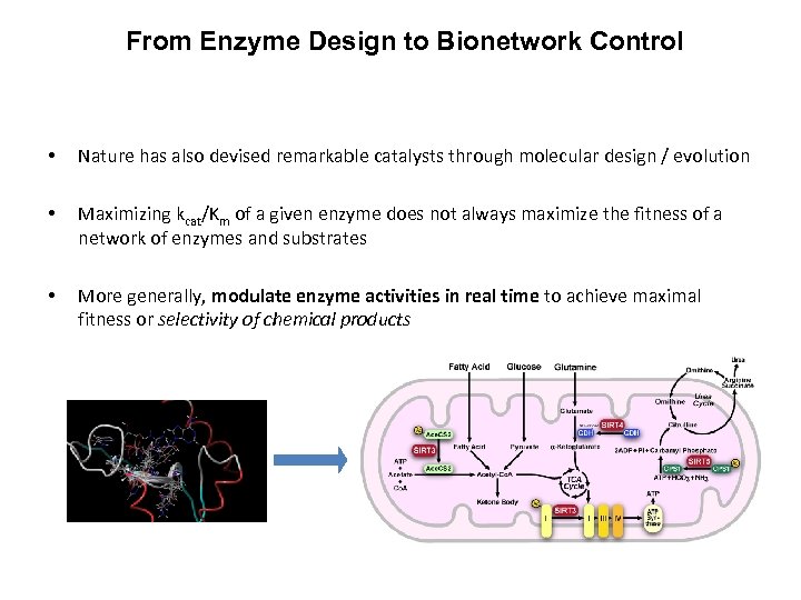 From Enzyme Design to Bionetwork Control • Nature has also devised remarkable catalysts through