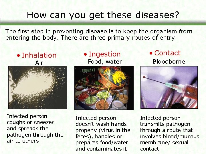 How can you get these diseases? The first step in preventing disease is to