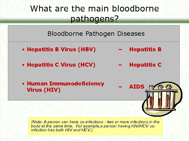 What are the main bloodborne pathogens? Bloodborne Pathogen Diseases • Hepatitis B Virus (HBV)