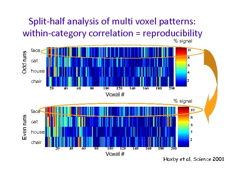 Split-half analysis of multi voxel patterns: within-category correlation = reproducibility Odd runs % signal