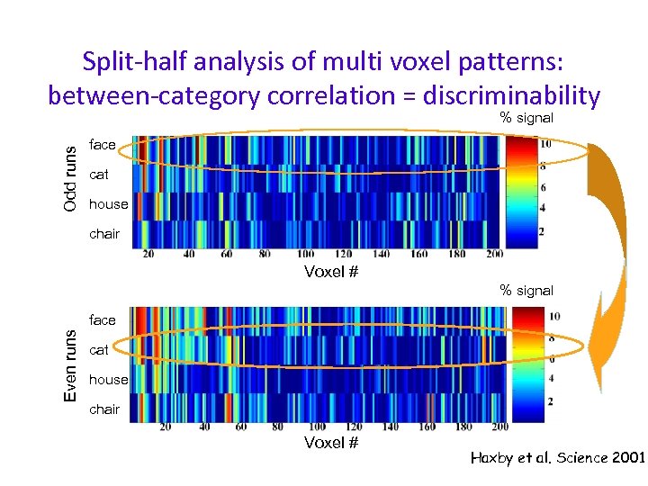 Split-half analysis of multi voxel patterns: between-category correlation = discriminability Odd runs % signal