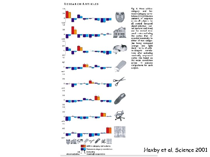 Haxby et al. Science 2001 