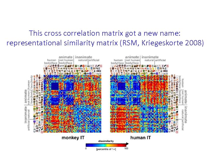 This cross correlation matrix got a new name: representational similarity matrix (RSM, Kriegeskorte 2008)