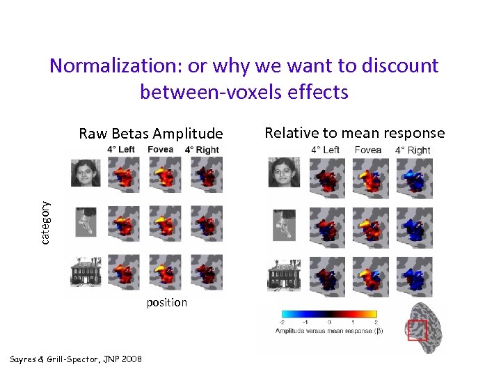 Normalization: or why we want to discount between-voxels effects category Raw Betas Amplitude position