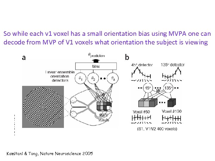 So while each v 1 voxel has a small orientation bias using MVPA one