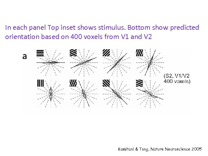 In each panel Top inset shows stimulus. Bottom show predicted orientation based on 400