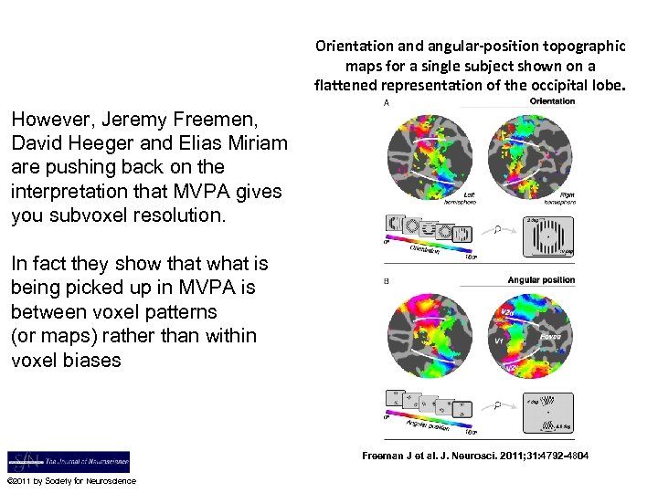Orientation and angular-position topographic maps for a single subject shown on a flattened representation