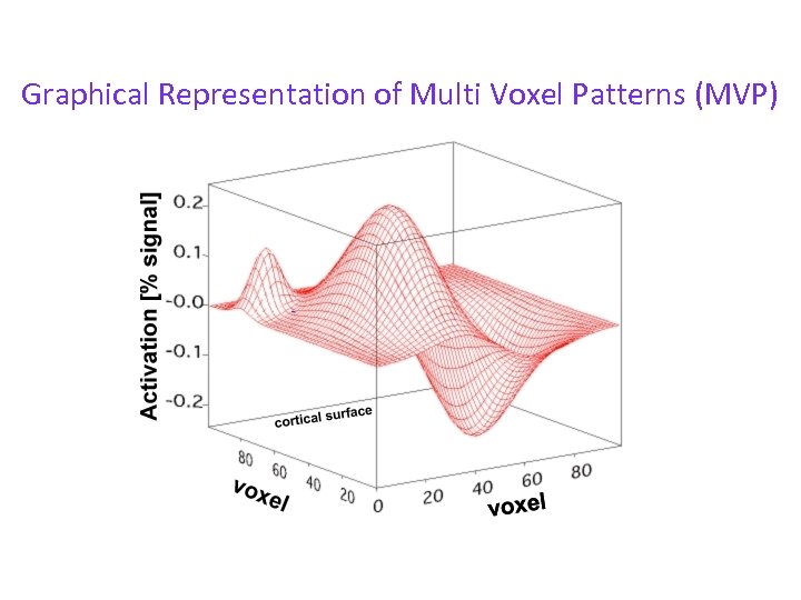 Graphical Representation of Multi Voxel Patterns (MVP) 