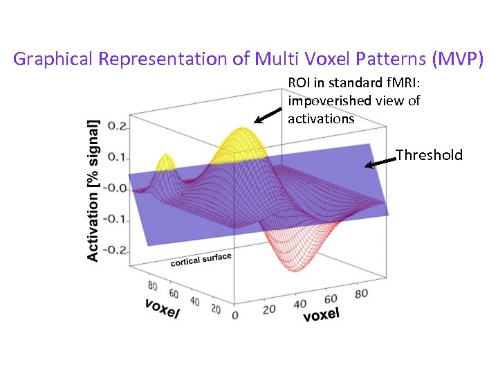Graphical Representation of Multi Voxel Patterns (MVP) ROI in standard f. MRI: impoverished view