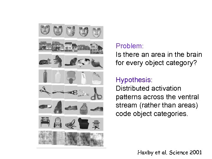 Problem: Is there an area in the brain for every object category? Hypothesis: Distributed