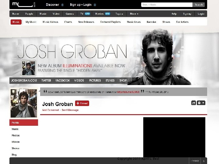 Copyright 2011 April L. Besl 