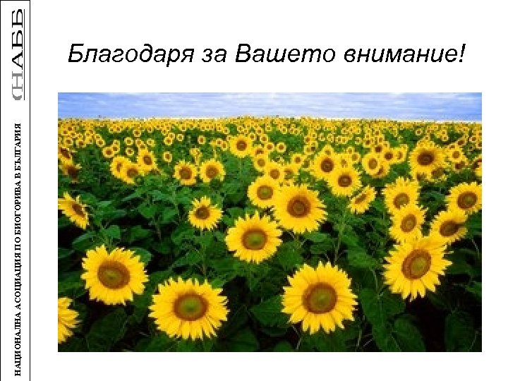 НАЦИОНАЛНА АСОЦИАЦИЯ ПО БИОГОРИВА В БЪЛГАРИЯ Благодаря за Вашето внимание! 