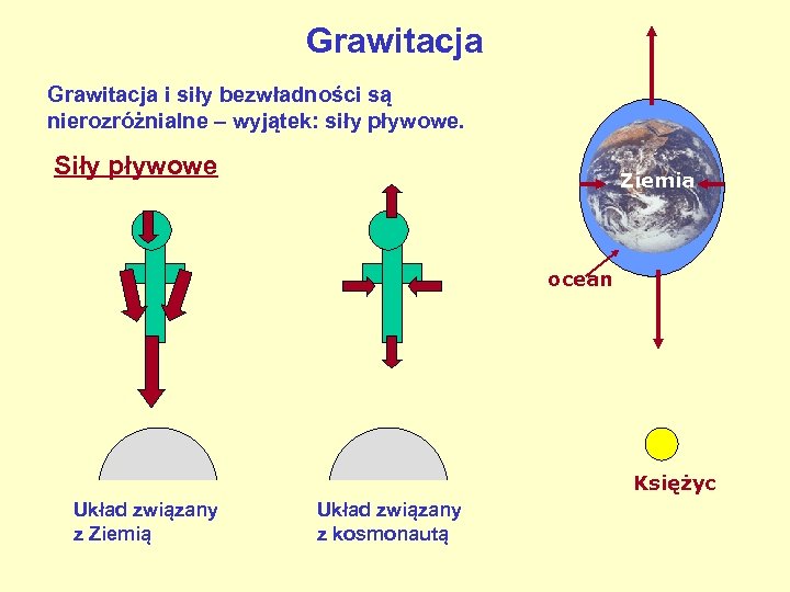 Grawitacja i siły bezwładności są nierozróżnialne – wyjątek: siły pływowe. Siły pływowe Ziemia ocean