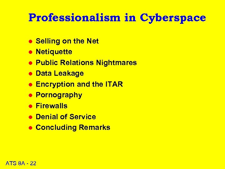Professionalism in Cyberspace l l l l l Selling on the Netiquette Public Relations