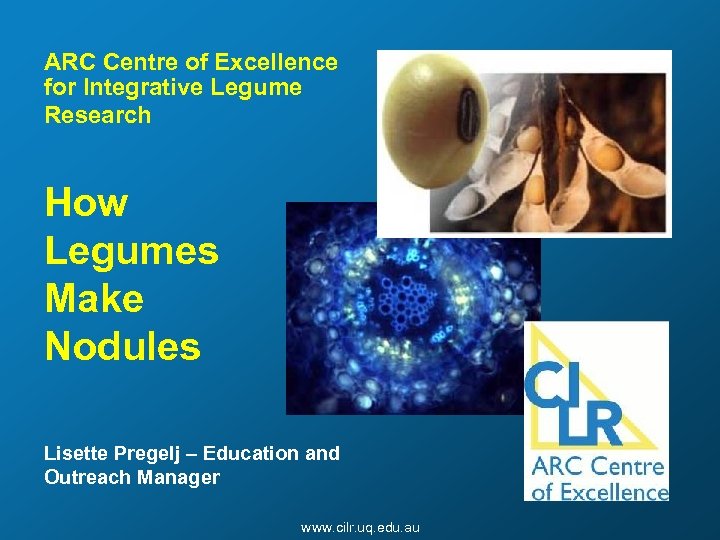 ARC Centre of Excellence for Integrative Legume Research How Legumes Make Nodules Lisette Pregelj