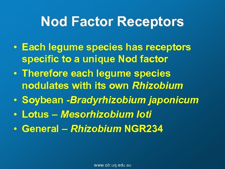 Nod Factor Receptors • Each legume species has receptors specific to a unique Nod