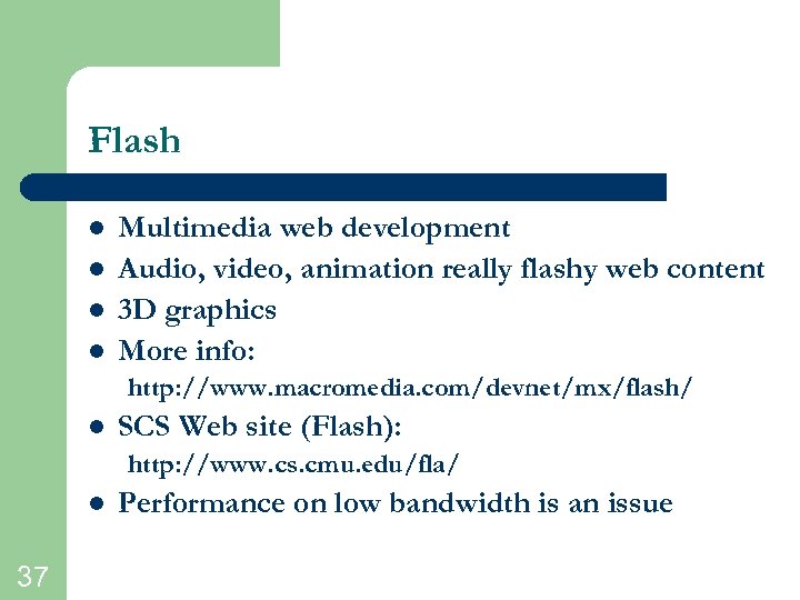 Flash l l Multimedia web development Audio, video, animation really flashy web content 3