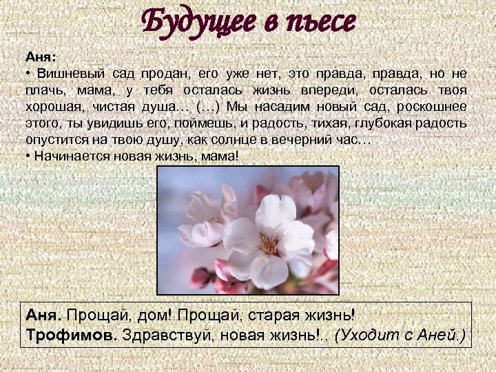 Будущее в пьесе Аня: • Вишневый сад продан, его уже нет, это правда, но