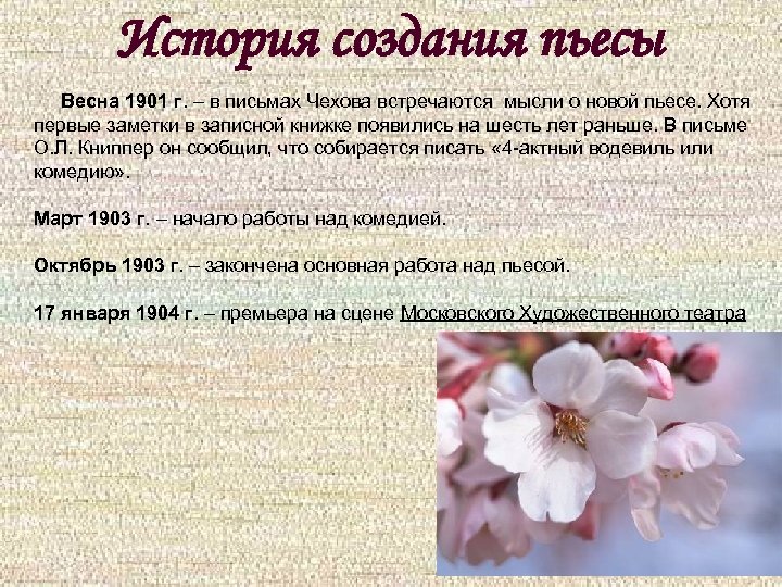 История создания пьесы Весна 1901 г. – в письмах Чехова встречаются мысли о новой