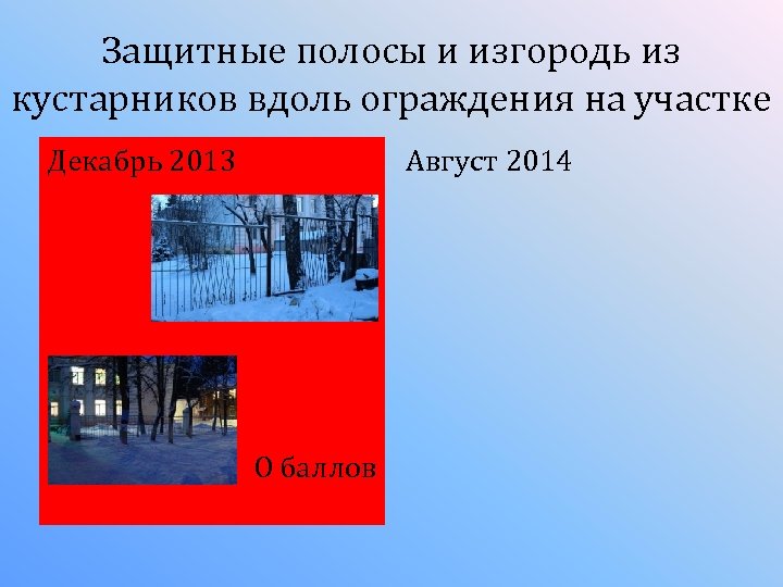 Защитные полосы и изгородь из кустарников вдоль ограждения на участке Декабрь 2013 Август 2014