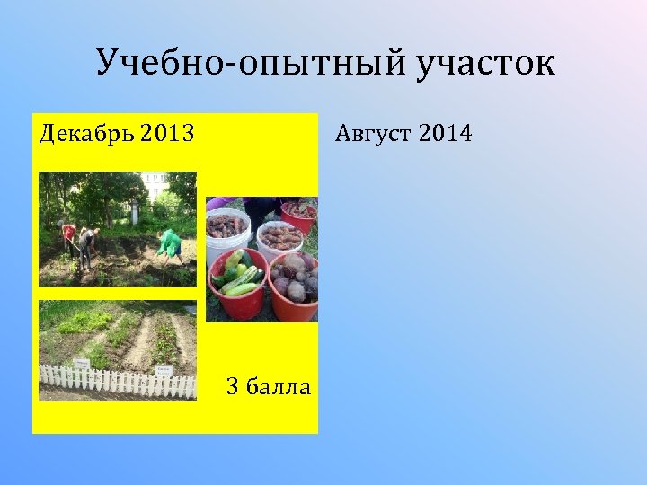 Учебно-опытный участок Декабрь 2013 Август 2014 3 балла 