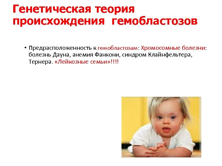Генетическая теория происхождения гемобластозов • Предрасположенность к гемобластозам: Хромосомные болезни: болезнь Дауна, анемия Фанкони,